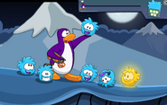 Todos los puffle celestes salvadios