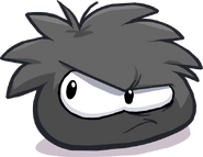 Black Puffle30