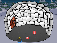 Rsnail's Igloo