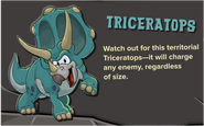 Blue Triceratops Descripition