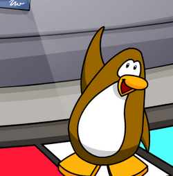 Dancing penguin - Club Penguin Official Help Site