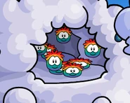 RP in CF.png (23 KB) Rainbow Puffles in the Cloud Forest