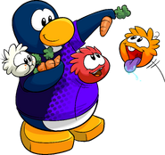 As seen in issue #281 of the Club Penguin Times