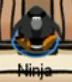 One of ninjas. The penguin named Ninja is a moderator.