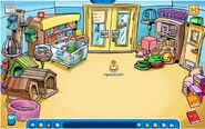 Old Pet Shop: March 2006-March 2011