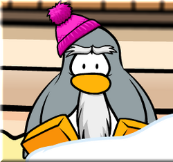 Sensei Gallery Club Penguin Wiki Fandom