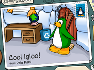 A Cool Igloo postcard from Polo Field