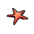 Starfish Pin