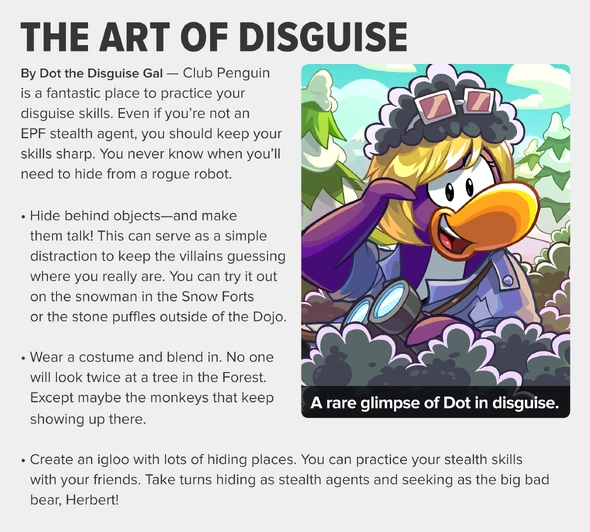 CPT497 Front supportStory