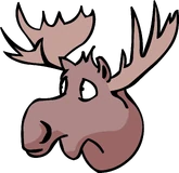 Moose Head