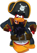 Rockhopper95765