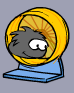 A Black Puffle using the Running Wheel