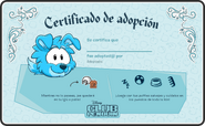 Certificado Border Collie Celeste