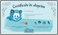 Certificado Mapache Celeste