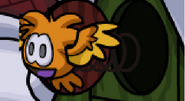 A close up of the Bird Puffle