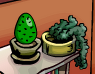 Cactus Egg