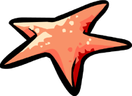 Starfish.png (26 KB) Another image of a starfish
