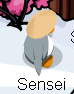 Sensei spotted during the Card-Jitsu Party.