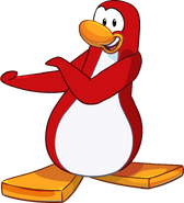 Pinguino Rojo8