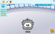 Grey puffle glitch