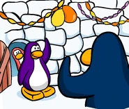 Stampbook Polaroid Activities 2.png (678 KB) Penguins throwing a party inside an igloo, as seen in a Stamp Book photograph