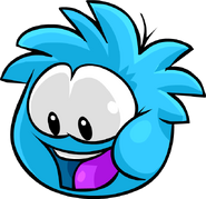 A Blue Puffle looking down