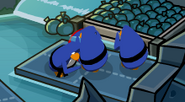 Old Blue glitch in a Card-Jitsu Water game