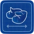 Blueprint Shoe-Ins icon