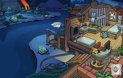 Operation Puffle EPF Puffle Vet Station