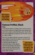 Flare in Puffle Whisperer PH's Puffle Handbook