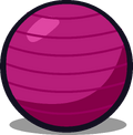 Exercise Ball