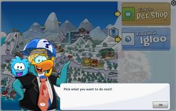 Club Penguin: An Introduction To Classism