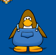 En la Tarjeta de Jugador