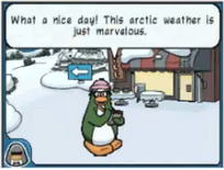 Aunt Arctic as seen in Club Penguin: Elite Penguin Force.