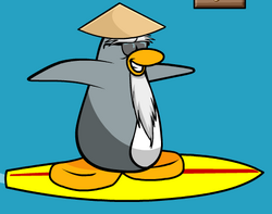 Sensei Gallery Club Penguin Wiki Fandom