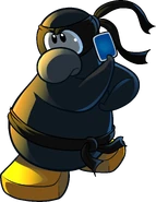 As seen in issue 267 of the Club Penguin Times, along with the Ninja Outfit