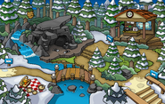 Puffle Party 2014 Forest