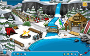 Camp Penguin