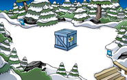 Puffle Party 2009 construction Forest
