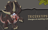 The description of the brown Triceratops.