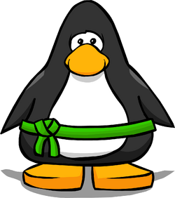 Green Ninja Belt | Club Penguin Wiki | Fandom