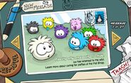 The postcard your White Puffle sends you when it runs away.