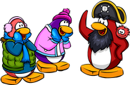 Rockhopper along with two other penguins.