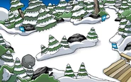 ExpedicionSubmarineBosque.png (337 kB) Durante la Expedición Submarina