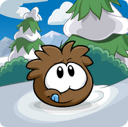 Puffle Party 2013 Transformation Puffle Brown