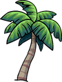 Tropical Palm