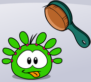 A Green Puffle being brushed