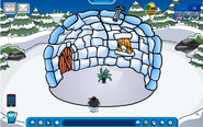 One of Ninja's previous igloos