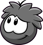 Another image of a Black Puffle