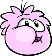 An image of a Pink Puffle.